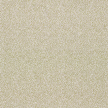 NSCD134626 Oakham Scion Fabric
