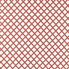 NSCD134666 Oakham Scion Fabric