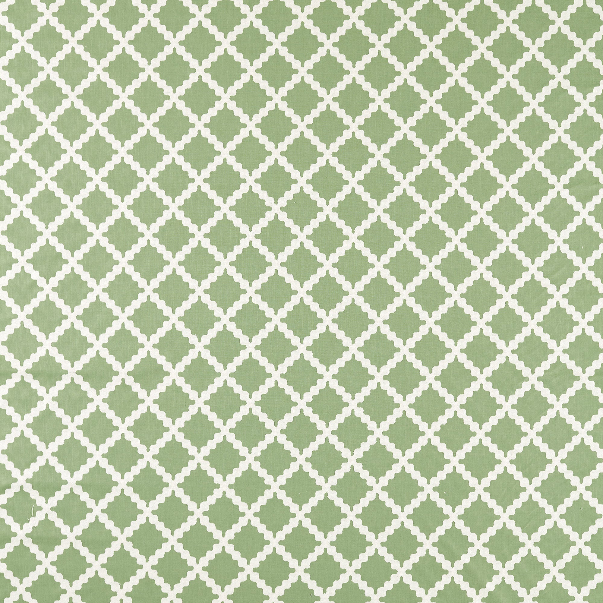 NSCD134667 Oakham Scion Fabric