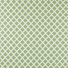 NSCD134667 Oakham Scion Fabric