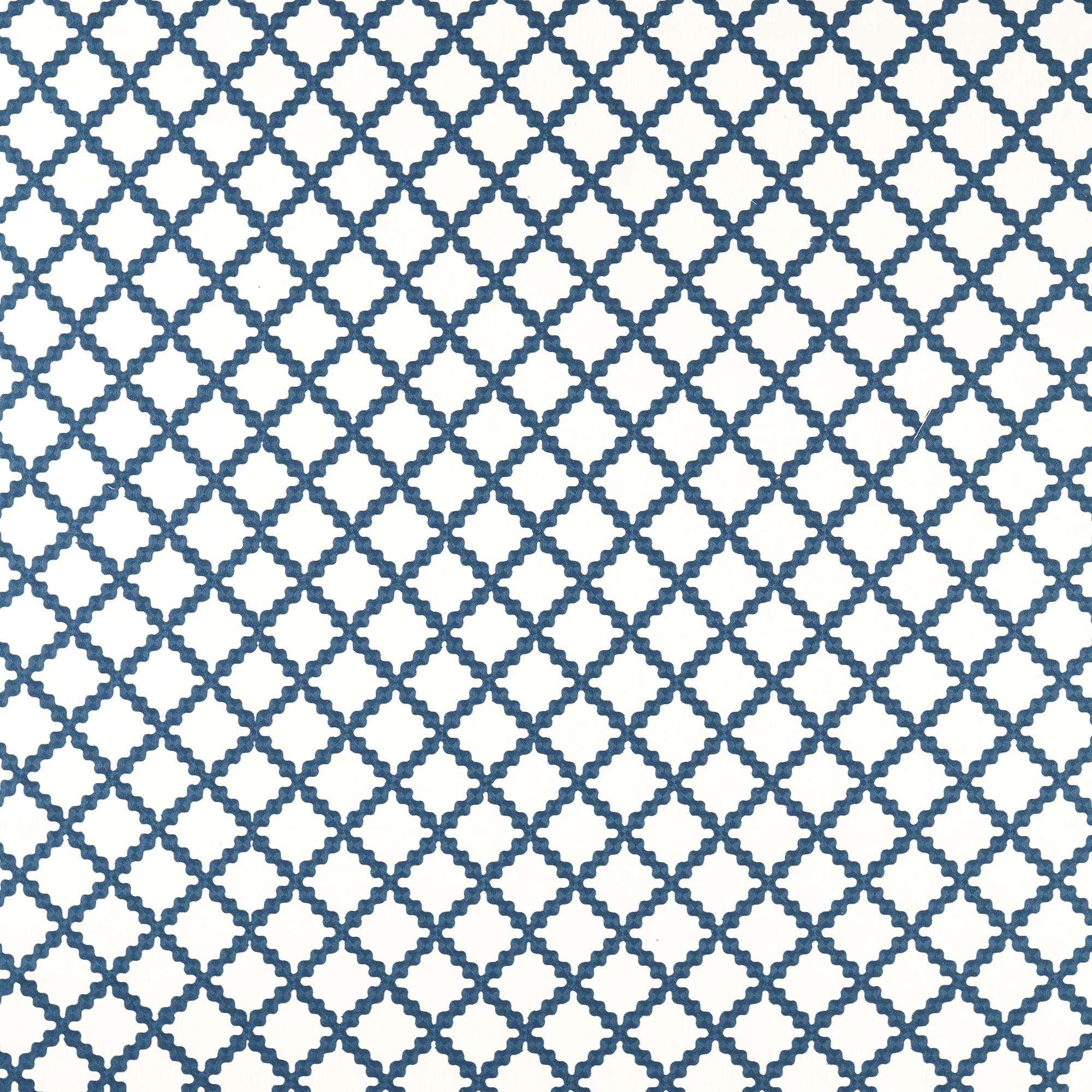 NSCD134668 Oakham Scion Fabric