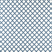 NSCD134668 Oakham Scion Fabric