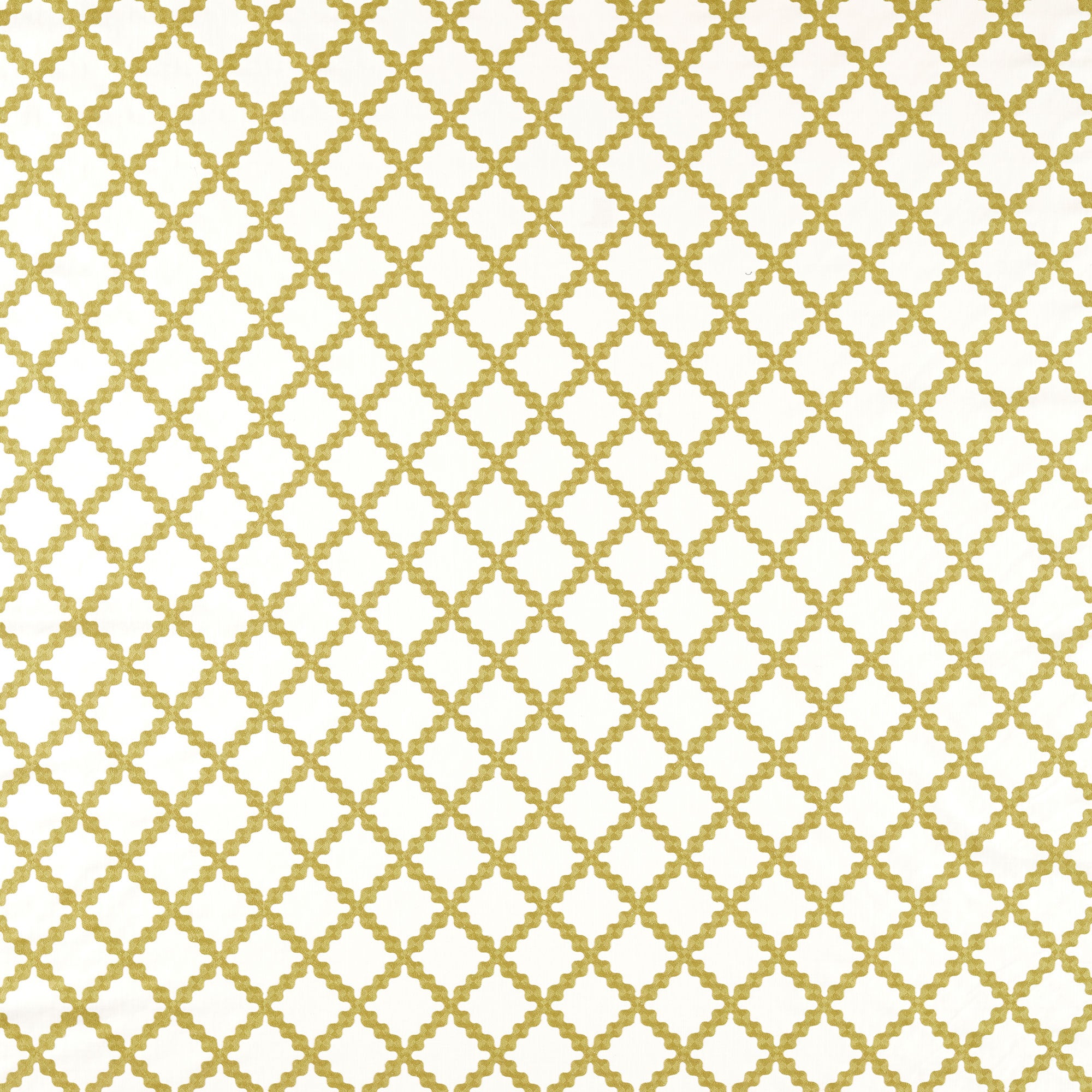 NSCD134669 Oakham Scion Fabric