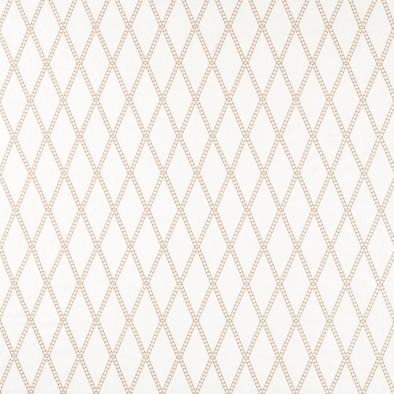 NSCD134674 Oakham Scion Fabric