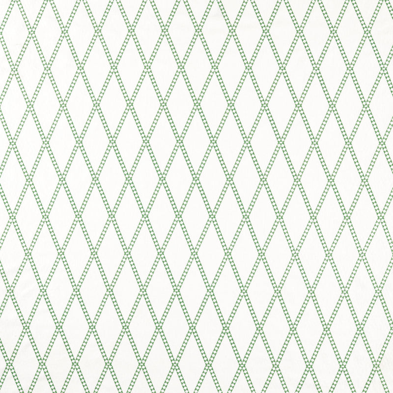 NSCD134676 Oakham Scion Fabric