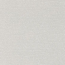 111276 ( NSCK111276 ) Totak Guess Who? Wallpaper by Scion