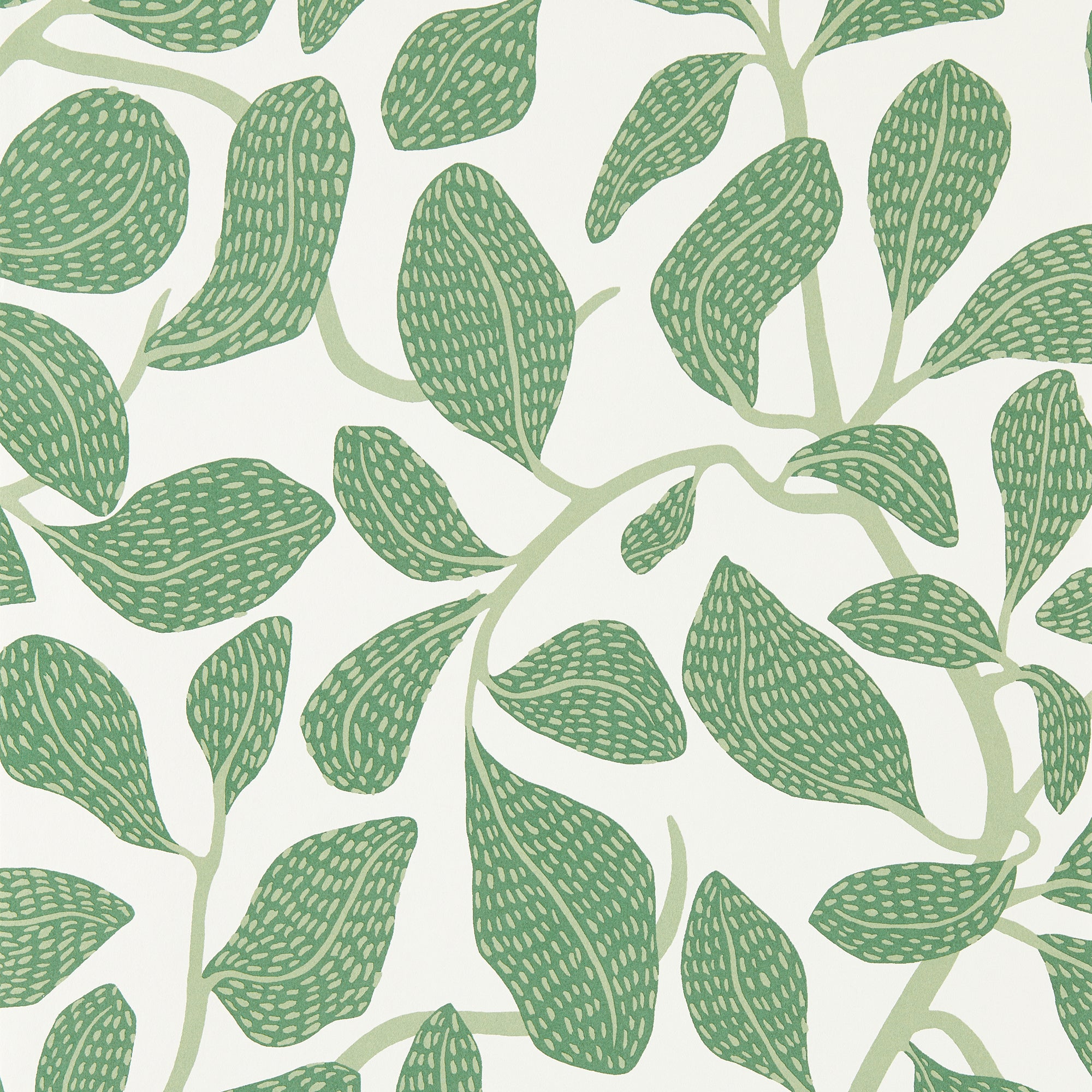 113268 Sweet Bay Oakham Forest Wallpaper by Scion