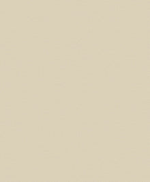 Interlace Cream New Touch Wallpaper by Galerie — flat