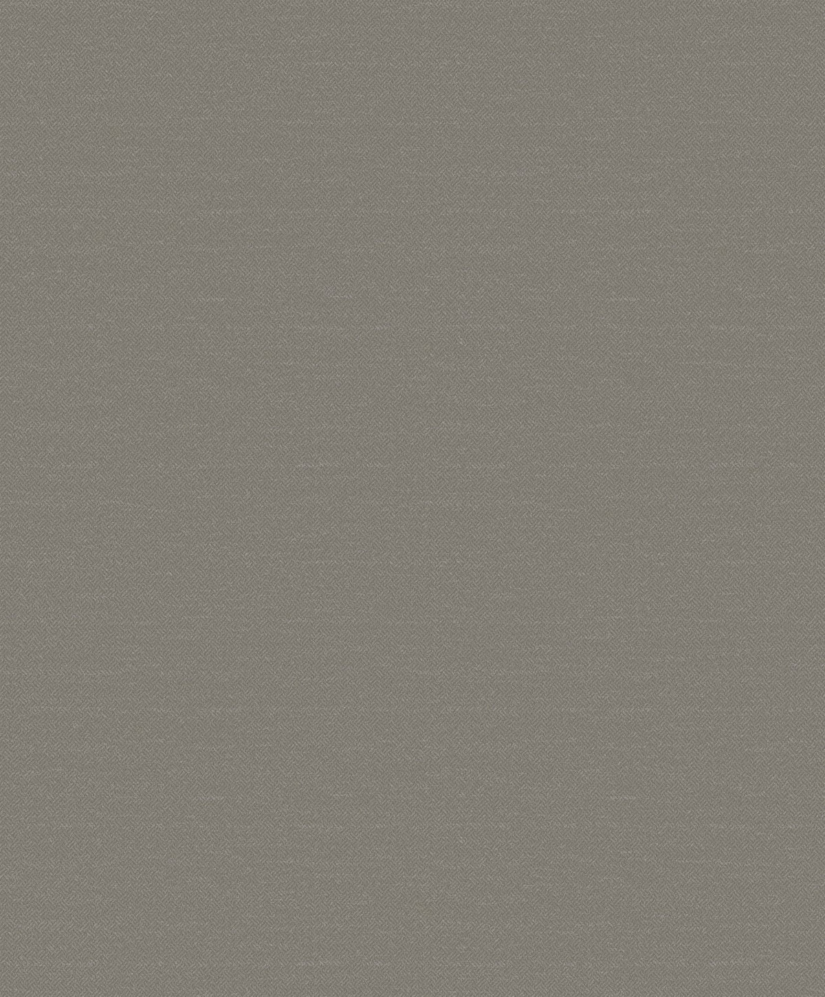Interlace Silver Grey New Touch Wallpaper by Galerie — flat