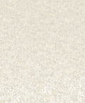Scratched Plaster Chalk New Touch Wallpaper by Galerie