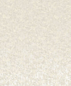 Scratched Plaster Chalk New Touch Wallpaper by Galerie — flat