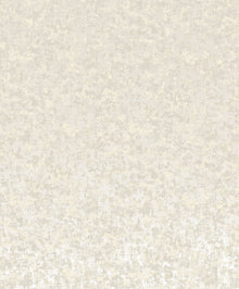 Scratched Plaster Chalk New Touch Wallpaper by Galerie — flat