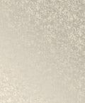Scratched Plaster Oyster New Touch Wallpaper by Galerie