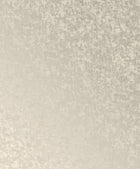 Scratched Plaster Oyster New Touch Wallpaper by Galerie — flat