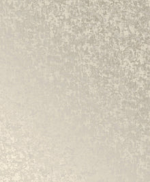 Scratched Plaster Oyster New Touch Wallpaper by Galerie — flat