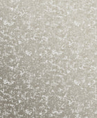 Scratched Plaster Silver Grey New Touch Wallpaper by Galerie — flat