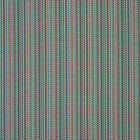 NZAC132920 Concentric Pimento Pomona Weaves Fabric by Scion