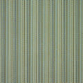 Concentric Coast Pomona Weaves Fabric by Scion