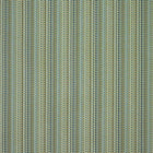 NZAC132923 Concentric Coast Pomona Weaves Fabric by Scion