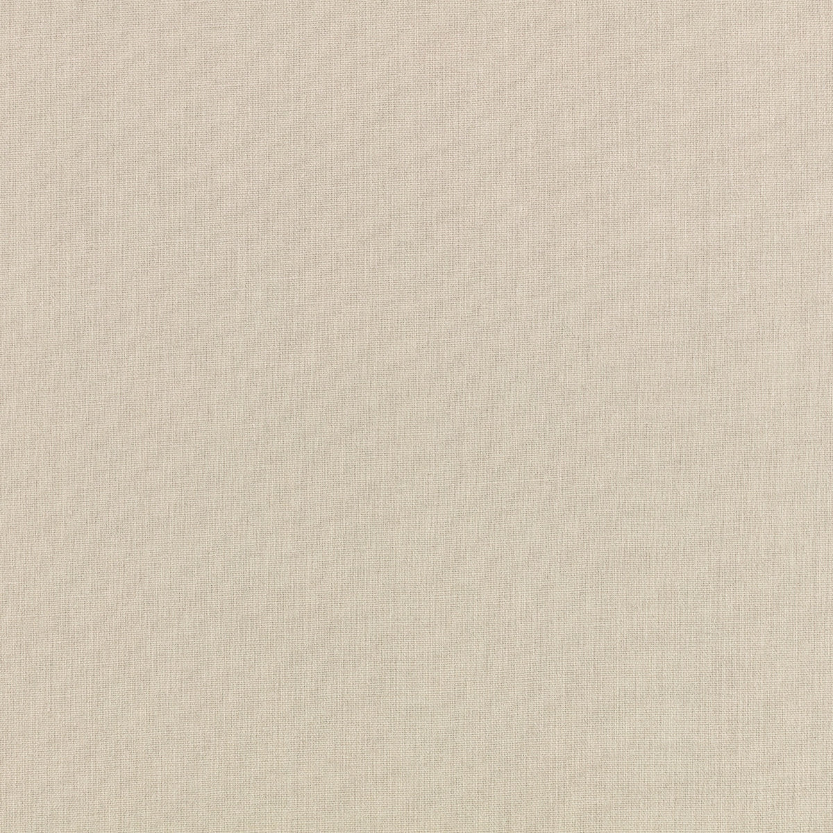 Canapa Cloth Cement Fabric by Mark Alexander