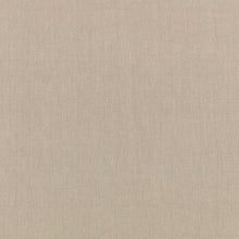 Canapa Cloth Roman Fabric by Mark Alexander
