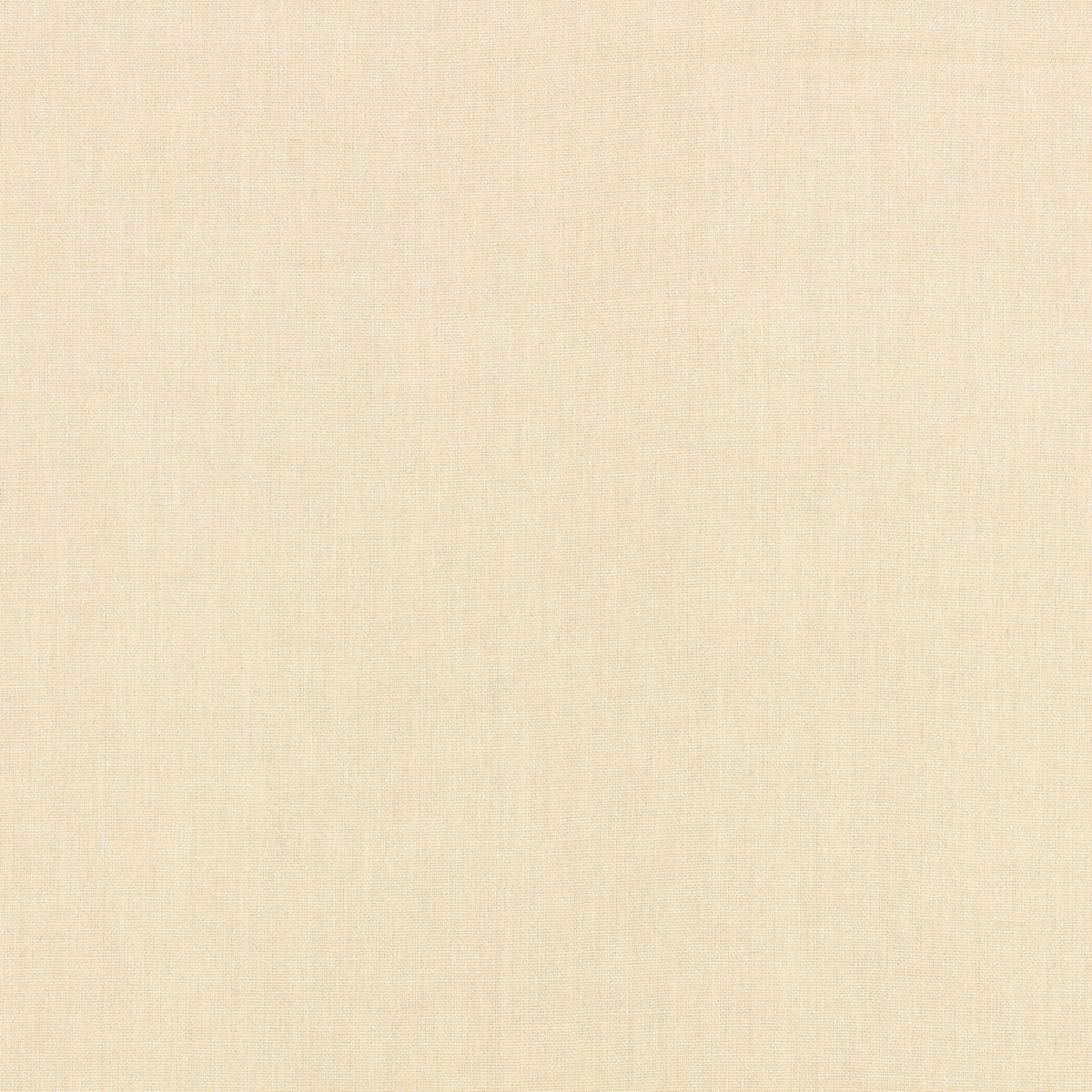 Canapa Cloth Eggshell Fabric by Mark Alexander