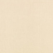 Canapa Cloth Eggshell Fabric by Mark Alexander
