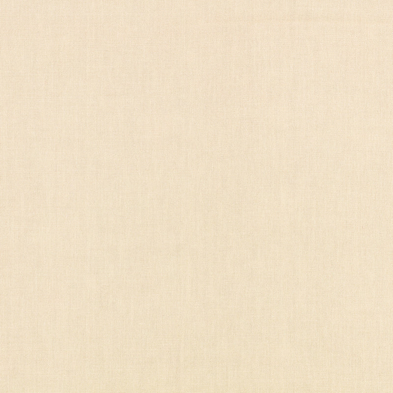 Canapa Cloth Eggshell Fabric by Mark Alexander