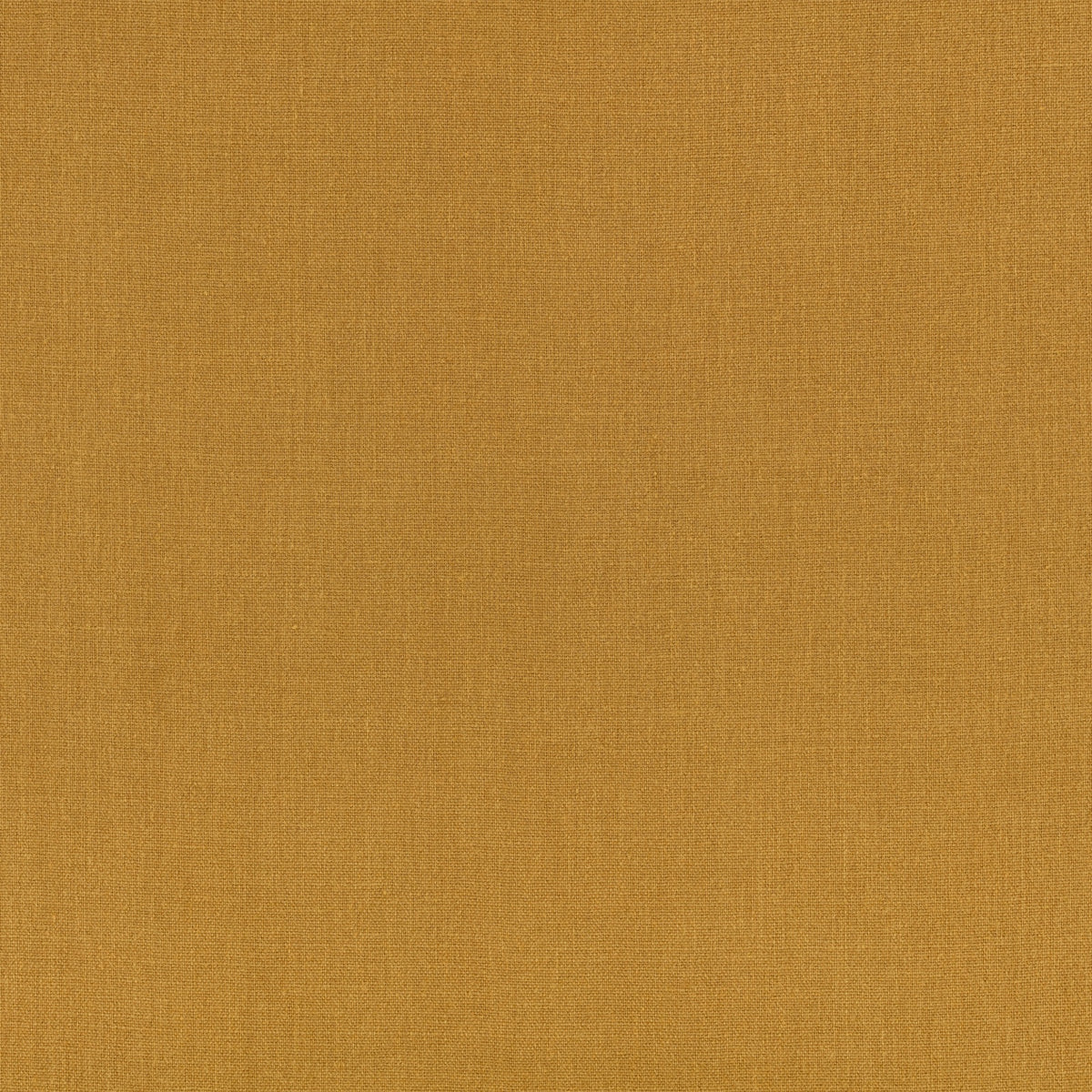Canapa Cloth Desert Palm Fabric by Mark Alexander