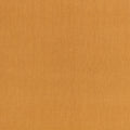 Canapa Cloth Orchre Fabric by Mark Alexander