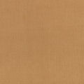 Canapa Cloth Camel Fabric by Mark Alexander