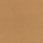 Canapa Cloth Camel Fabric by Mark Alexander