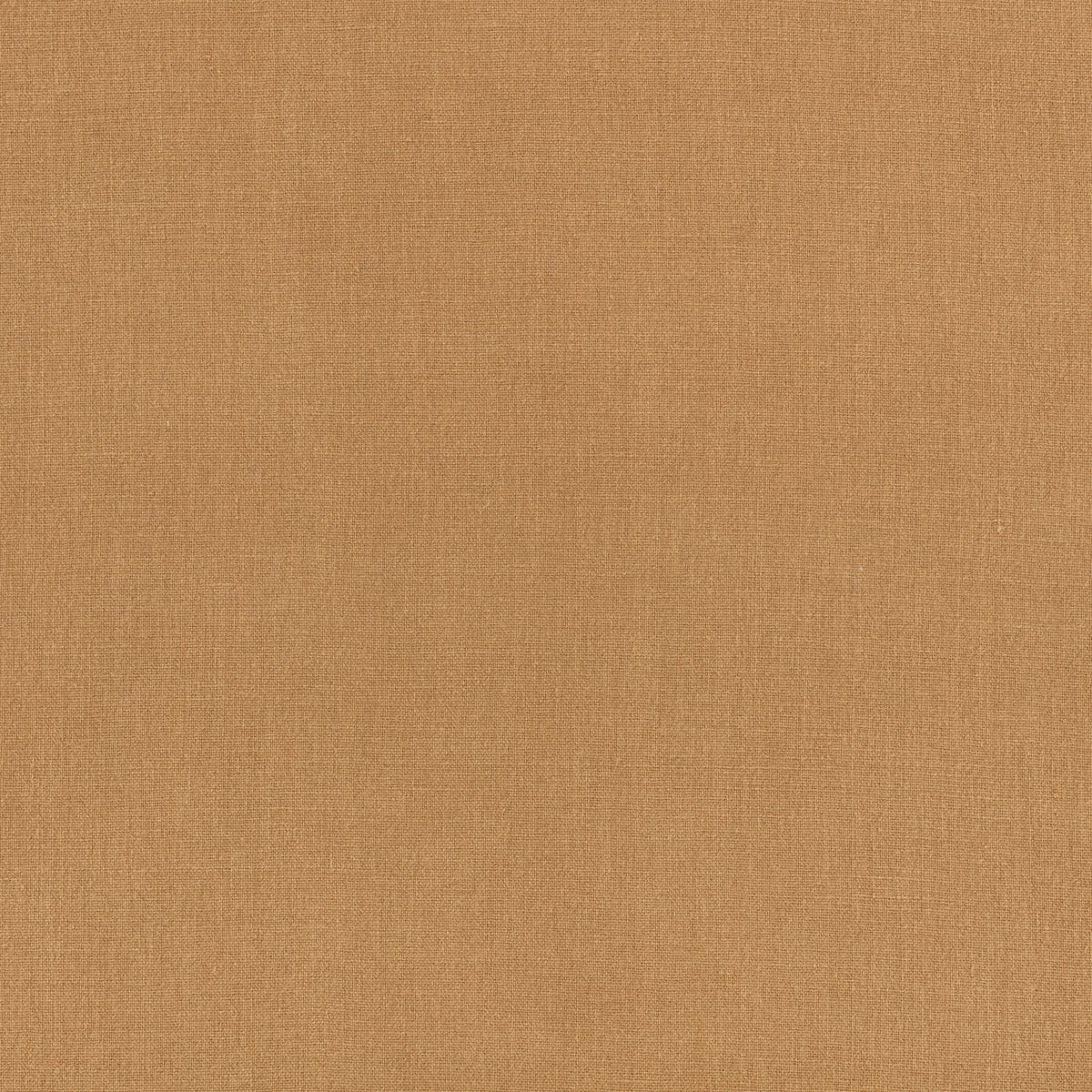 Canapa Cloth Camel Fabric by Mark Alexander