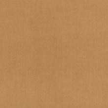 Canapa Cloth Camel Fabric by Mark Alexander
