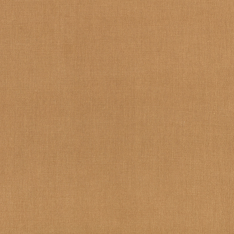 Canapa Cloth Camel Fabric by Mark Alexander