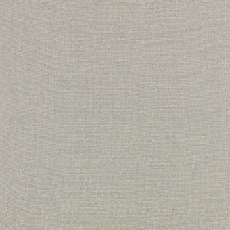 Canapa Cloth Gris Fabric by Mark Alexander