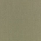 Canapa Cloth Sage Fabric by Mark Alexander