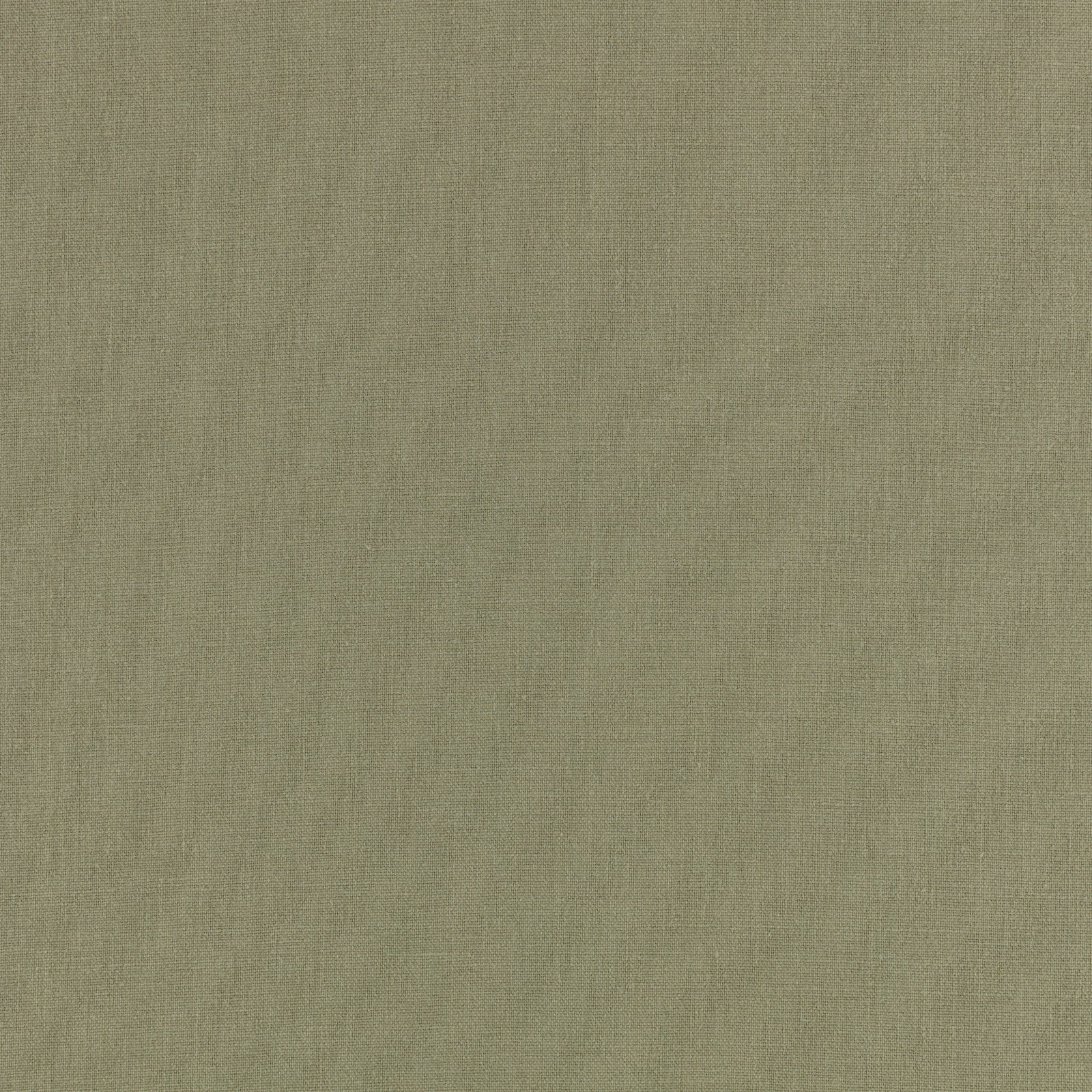 Canapa Cloth Sage Fabric by Mark Alexander