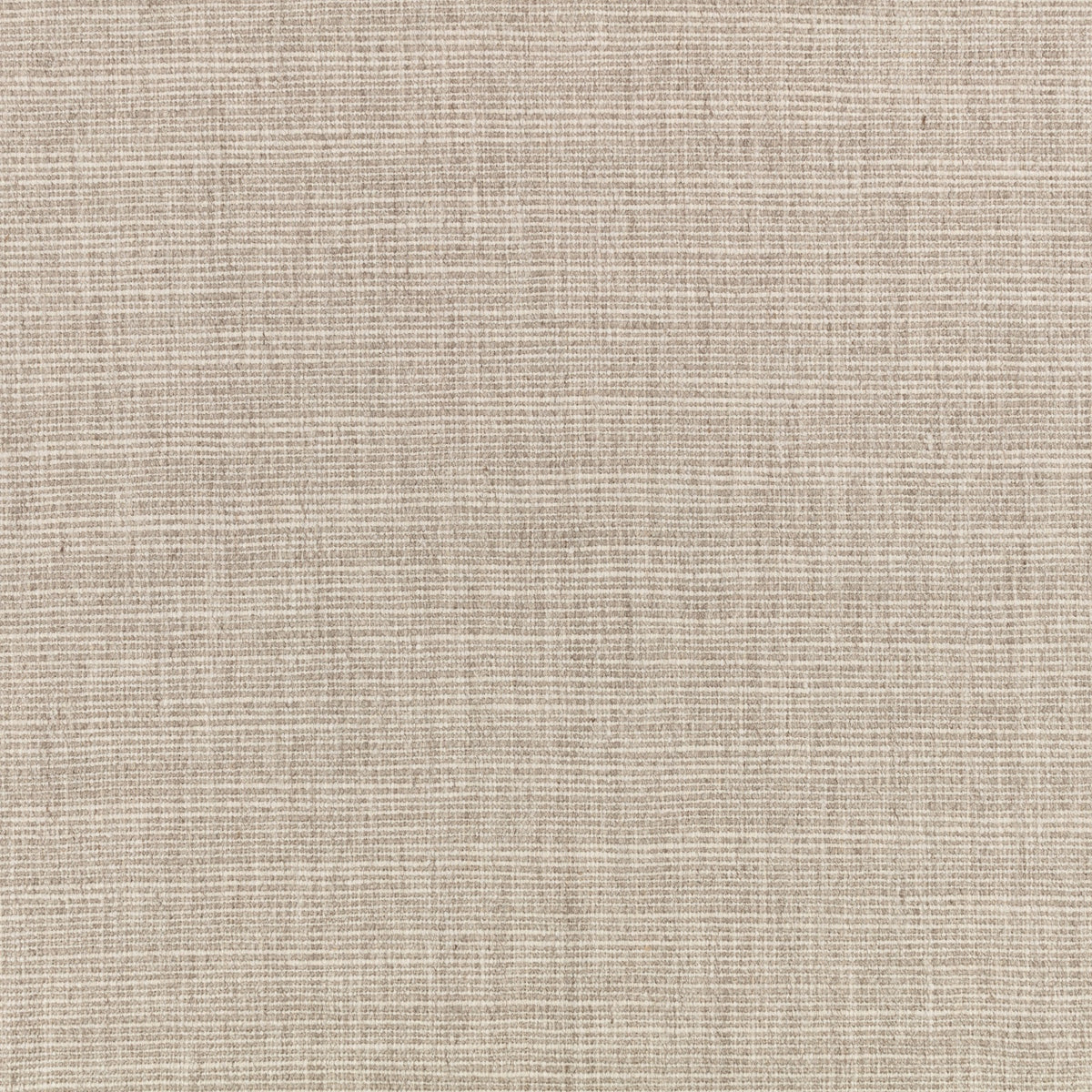 Meander Fossil Homespun Textures Fabric by Mark Alexander