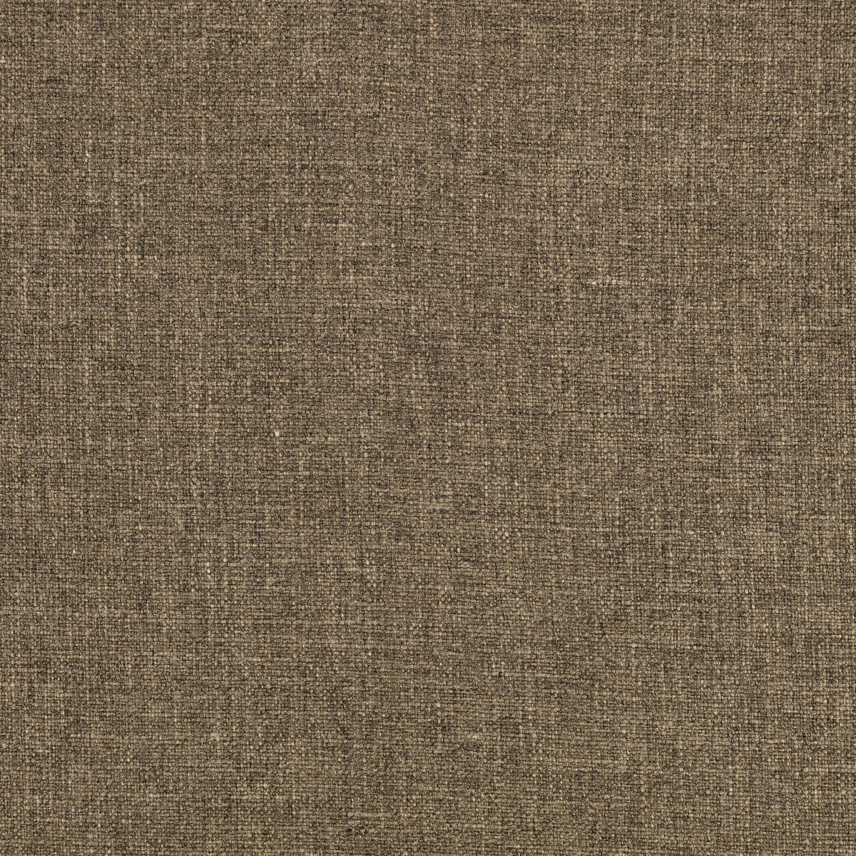 Gaia Loam Fabric by Mark Alexander