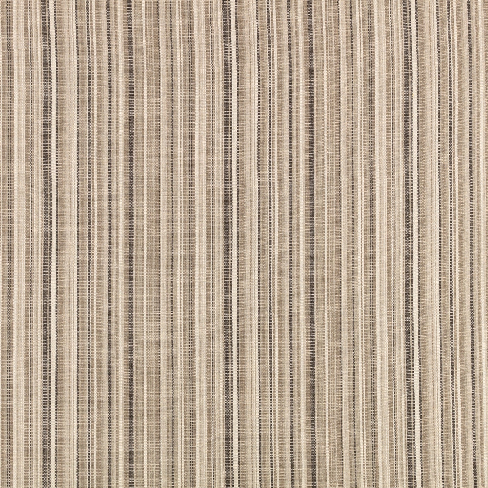 Veranda Malabar Brush Veranda III Fabric by Mark Alexander