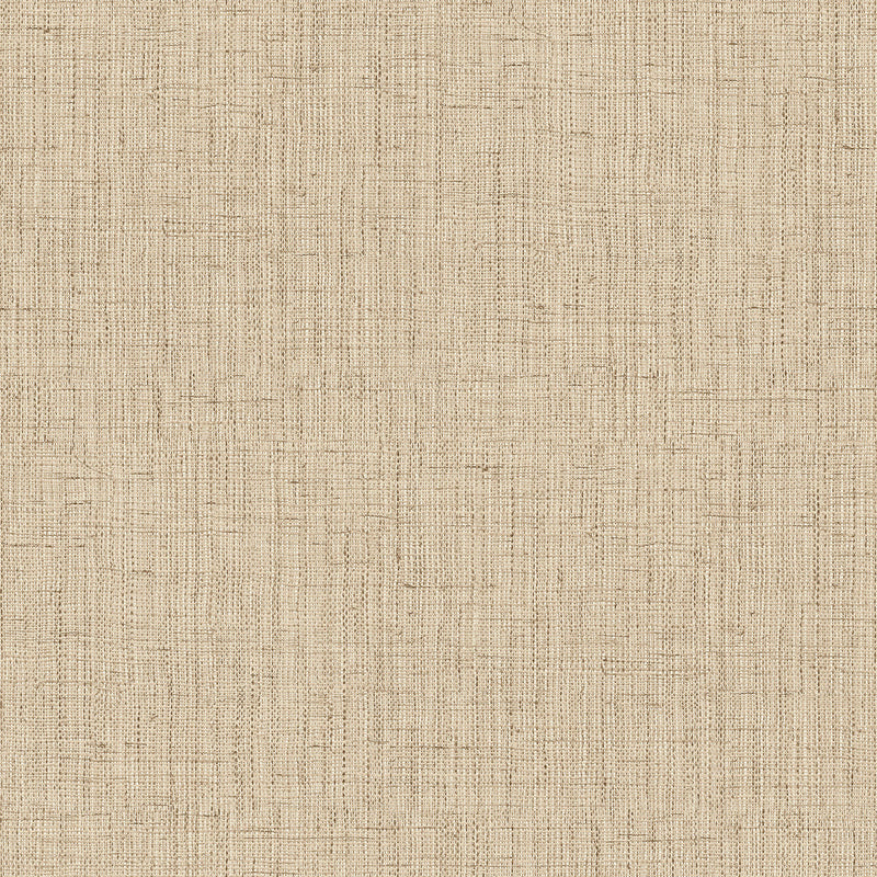 OG22304 Plain Shades of Colour Wallpaper By Galerie