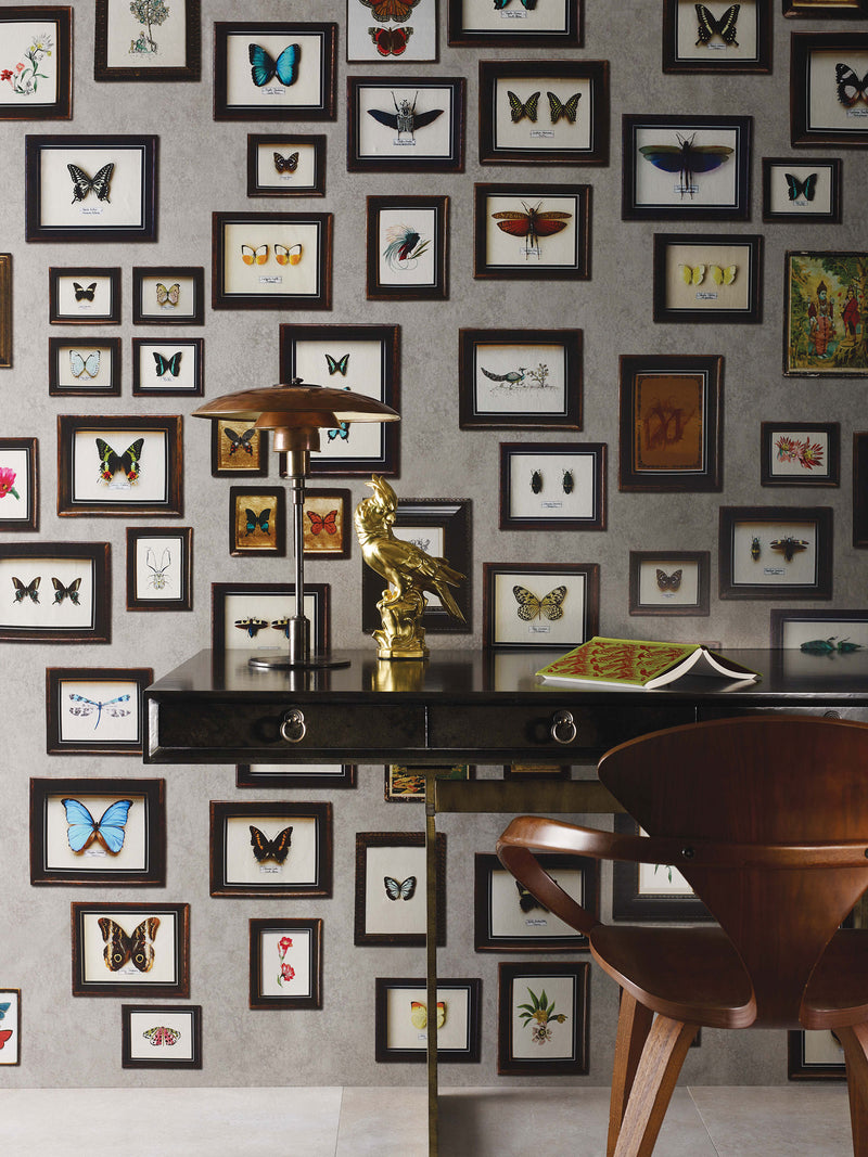 Narissa The Wallpaper Collection Wallpaper by Matthew Williamson