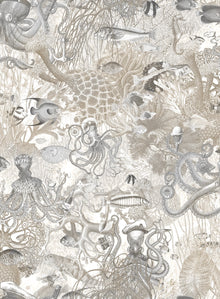 BMWL005/06A Octopus Wild Life Wallpaper by Brand McKenzie