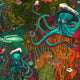 Octopus Wild Life Wallpaper by Brand McKenzie