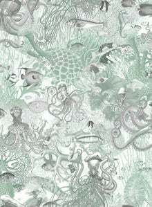 BMWL005/06E Octopus Wild Life Wallpaper by Brand McKenzie