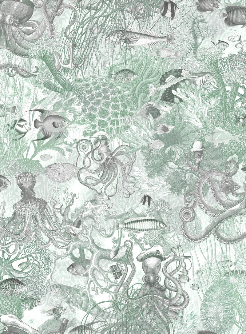 BMWL005/06E Octopus Wild Life Wallpaper by Brand McKenzie