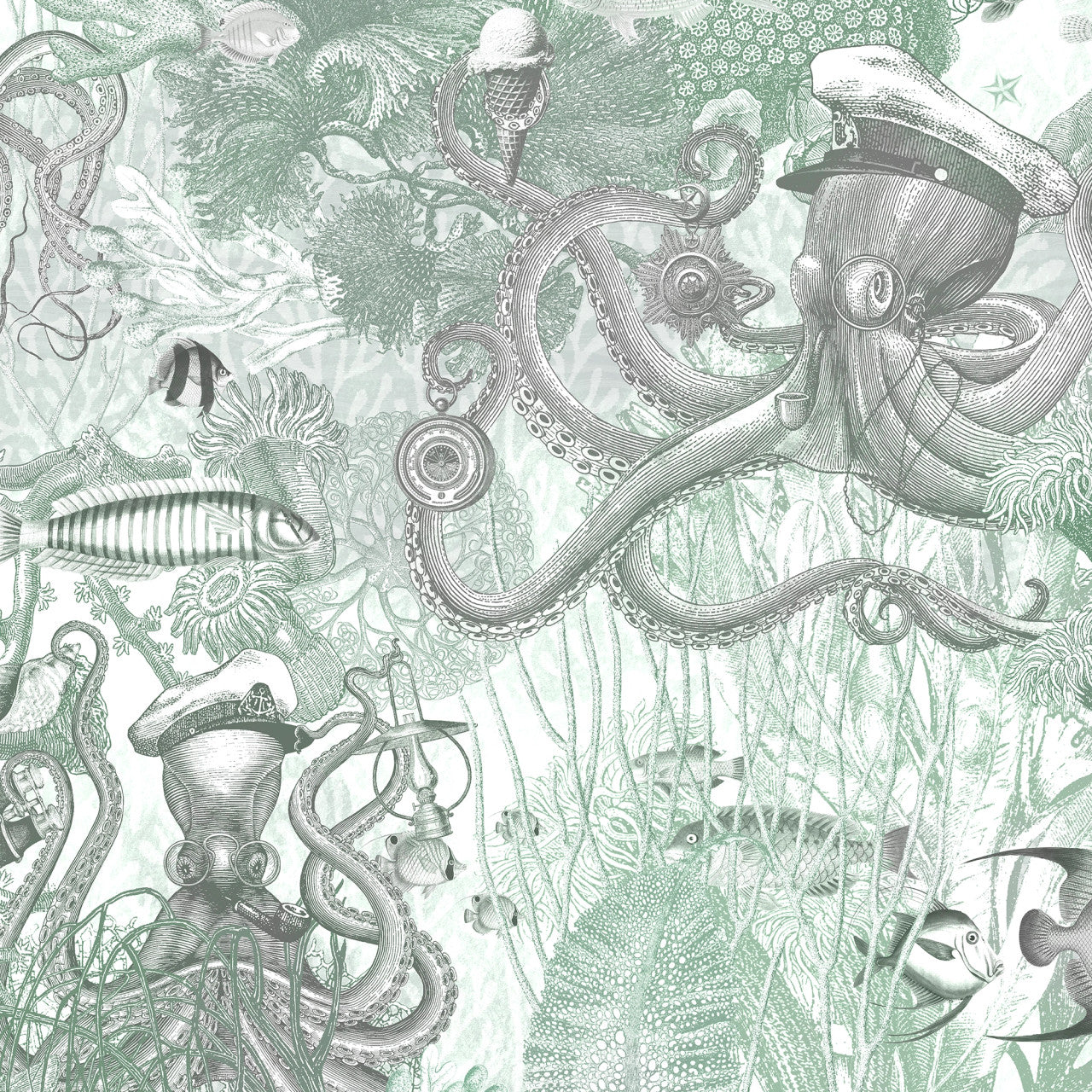 BMWL005/06E Octopus Wild Life Wallpaper by Brand McKenzie