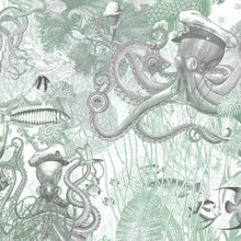 BMWL005/06E Octopus Wild Life Wallpaper by Brand McKenzie