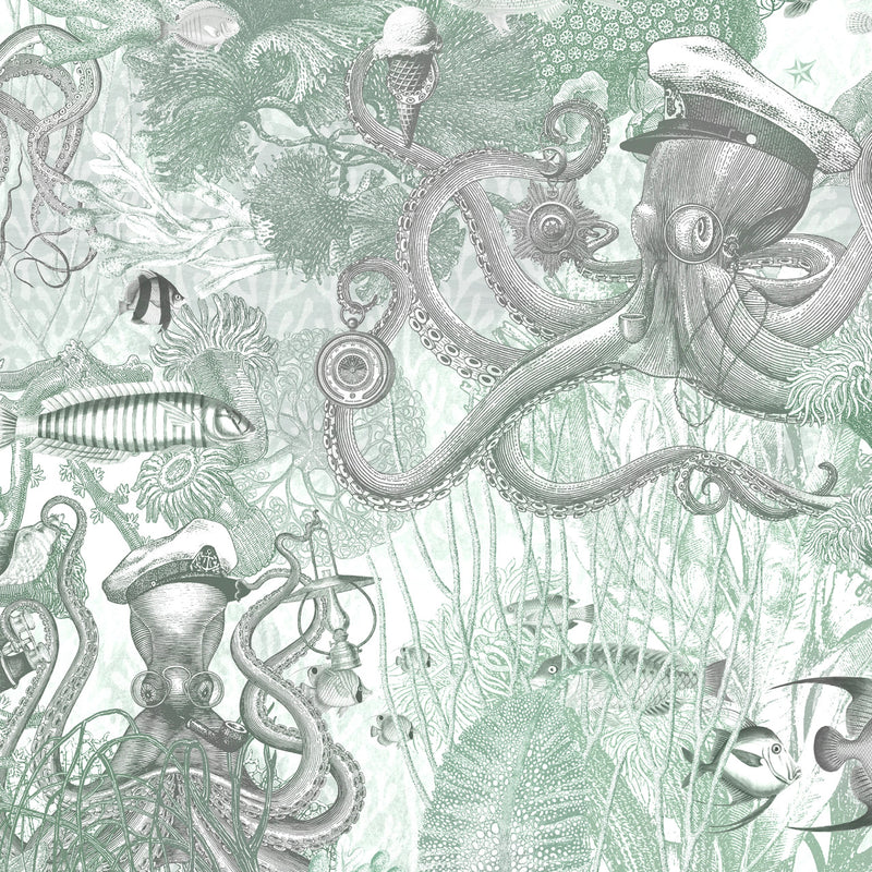 BMWL005/06E Octopus Wild Life Wallpaper by Brand McKenzie